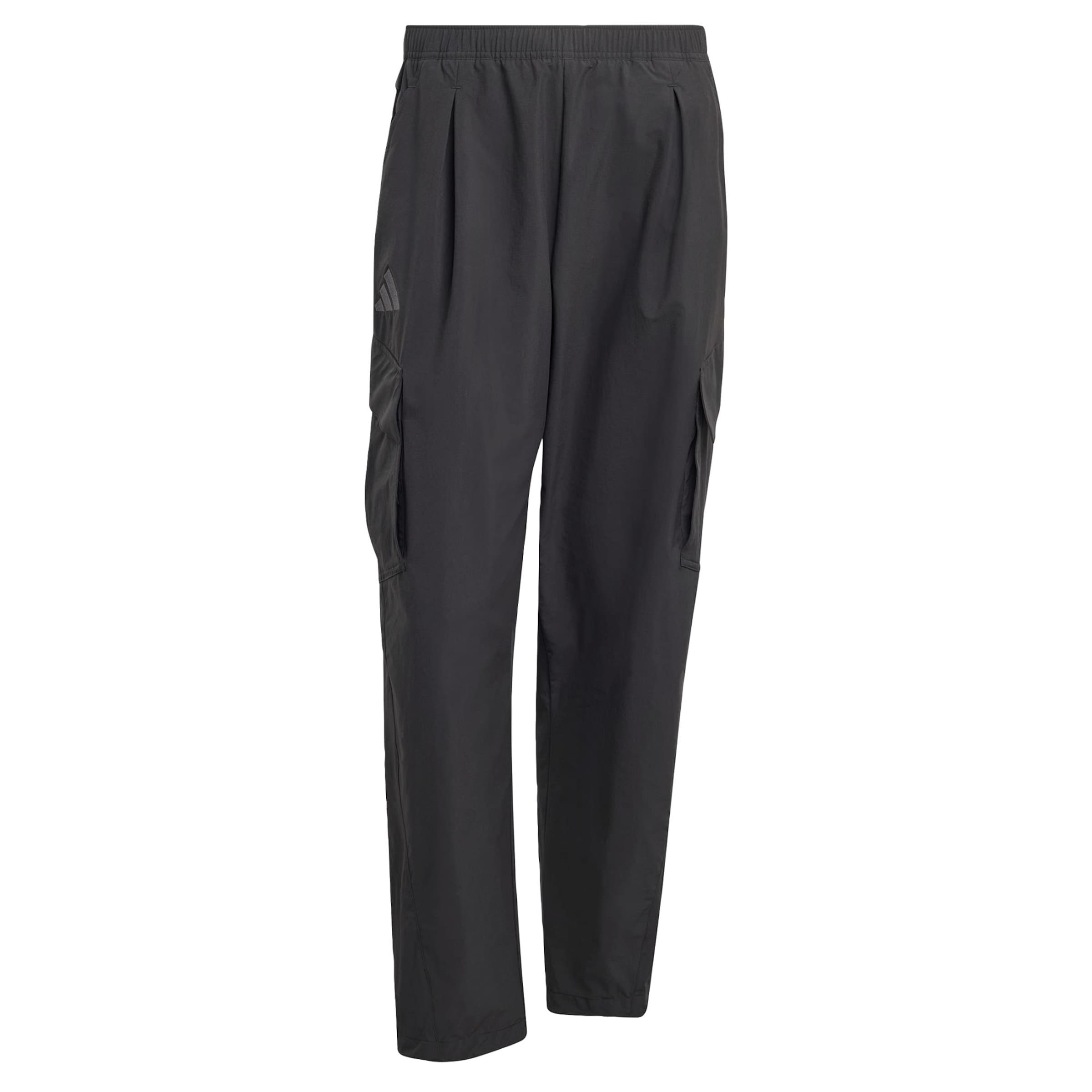 Loosefit Pantaloni per outdoor 'Xploric' di ADIDAS TERREX in nero: frontale