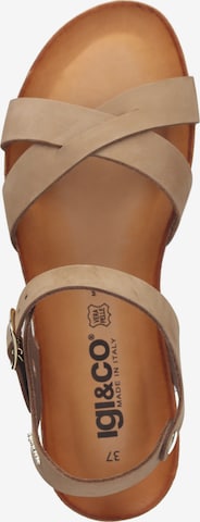 IGI&CO Sandals in Brown