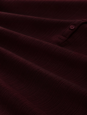 TOM TAILOR Shirt in Bruin