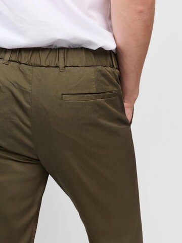 SANVT Regular Chinohose 'The Smart Chino'‌‌‌‌‌‌‌‌‌ in Grün