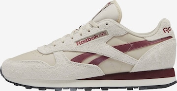 Baskets basses Reebok en beige : devant