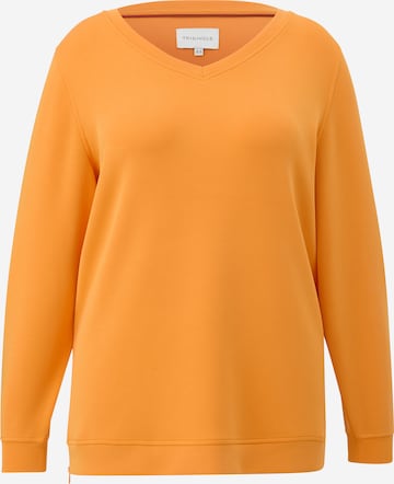 TRIANGLE Sweatshirt in Orange: predná strana