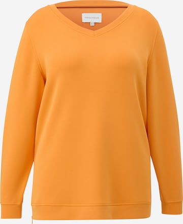 TRIANGLE Sweatshirt i oransje: forside