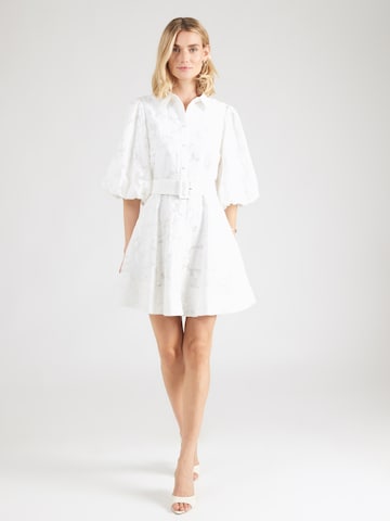 Ted Baker Kleid 'ANTYA' in Weiß: Vorderseite