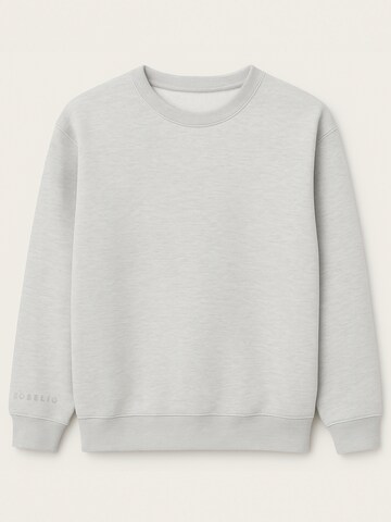 Sweat-shirt Eoselio en gris : devant