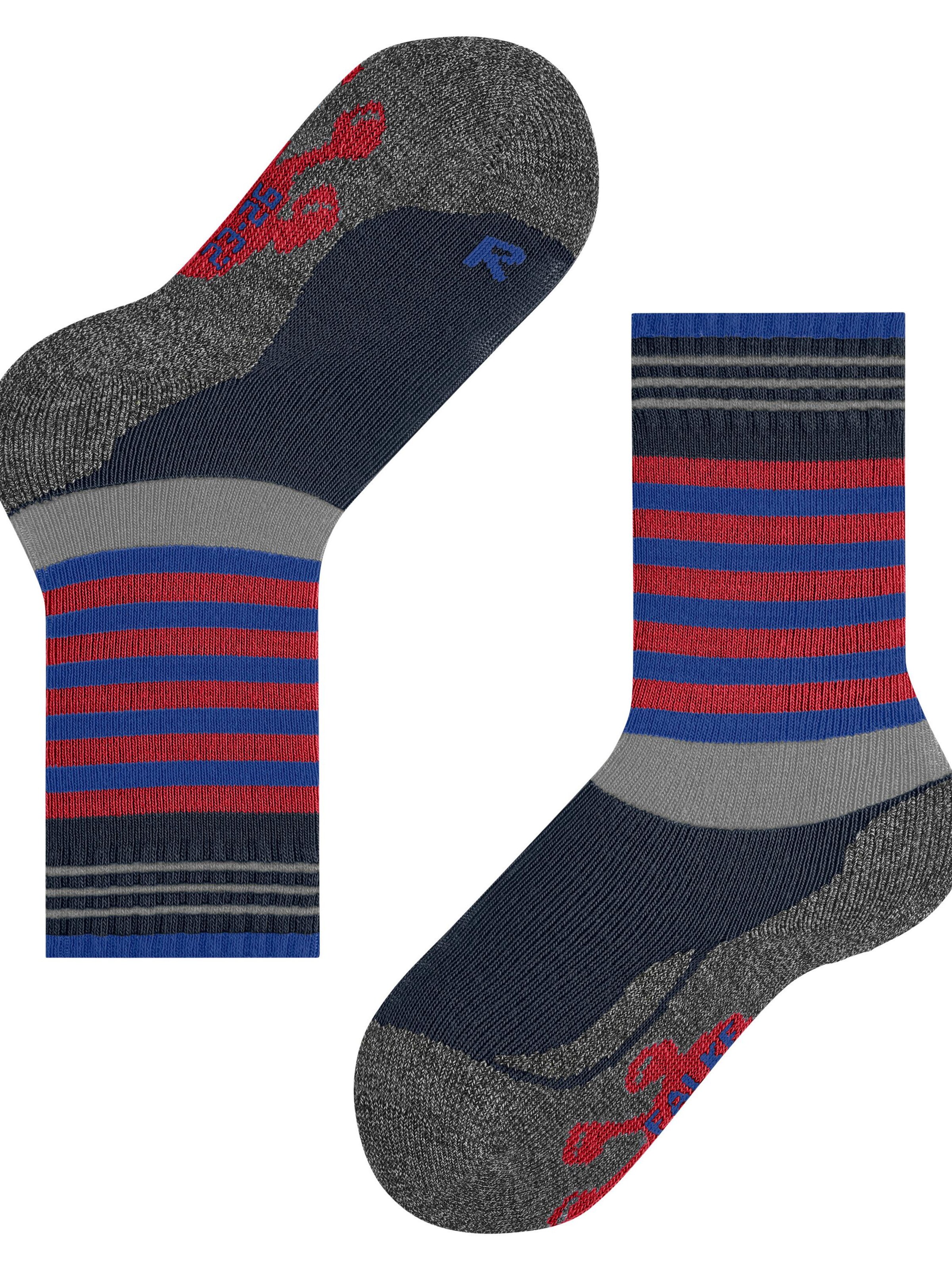 FALKE Socks 'Active Frog' in Blue