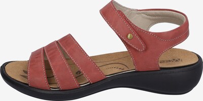 Westland Sandals 'Ibiza 111' in Red, Item view