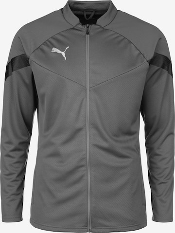 PUMA Training Jacket in Grey: front