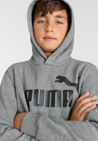 PUMA Sweatshirt 'Essentials' in Grey