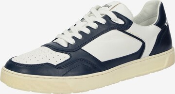 SIOUX Sneaker 'Tedroso' in Blau: predná strana