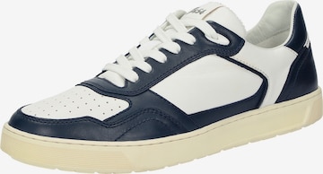 SIOUX Sneakers laag 'Tedroso' in Blauw: voorkant