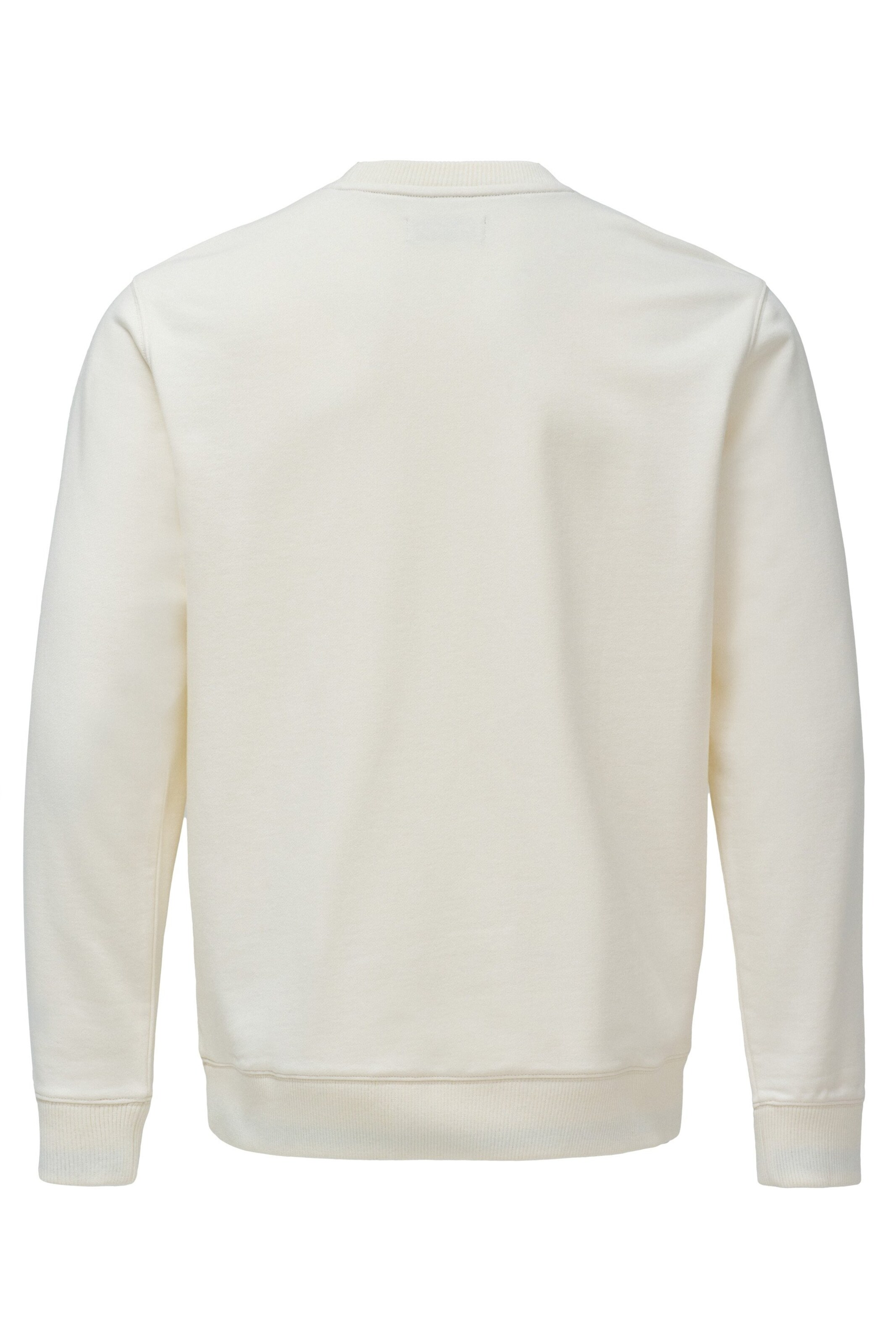 Salsa Jeans Sweatshirt in Beige