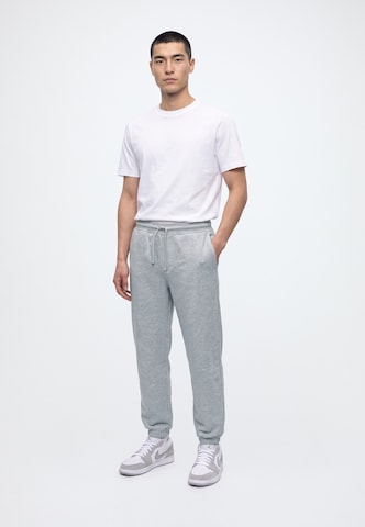 Effilé Pantalon BALMOHK en gris : devant