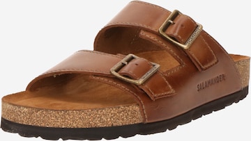 Mule SALAMANDER en marron : devant