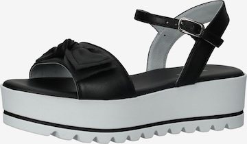 Nero Giardini Strap Sandals in Black: front