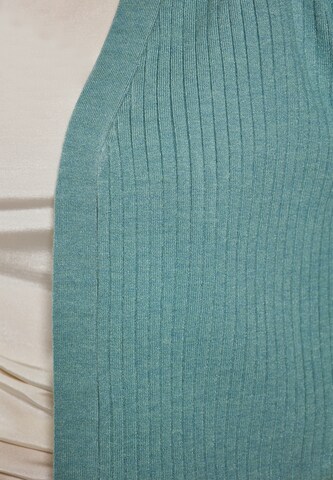 usha WHITE LABEL Knit Cardigan in Blue