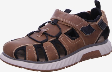 Sandalo di Westland in marrone: frontale