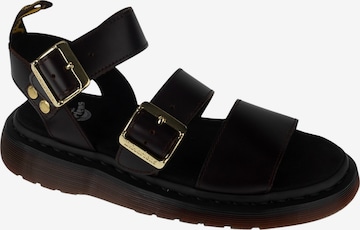 Dr. Martens Sandals 'Gryphon' in Brown: front