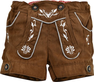 BONDI Regular Hose in Braun: Vorderseite