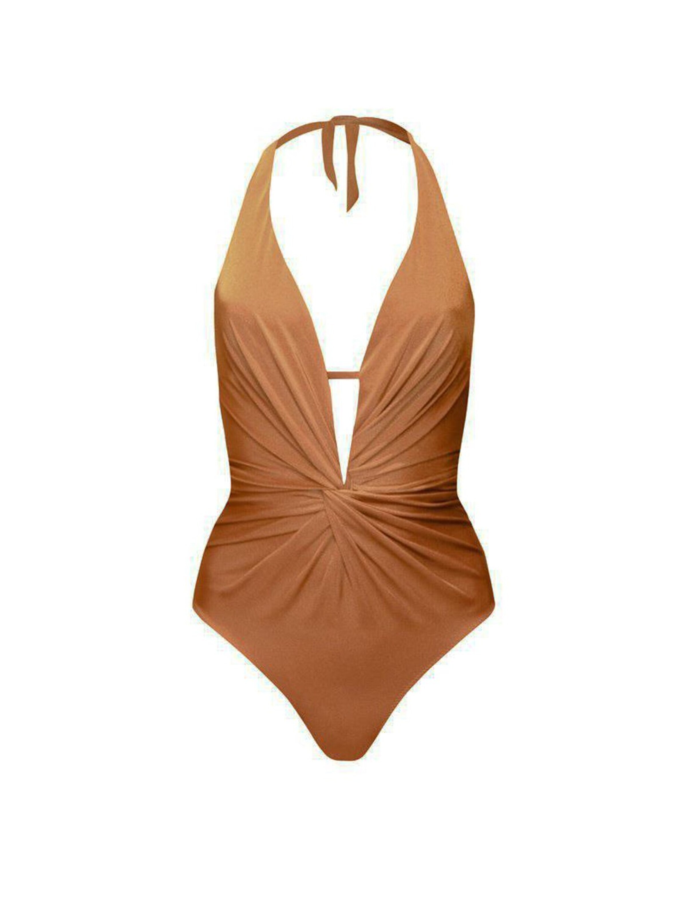 Rivus Swimsuit in Brown: front