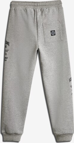 SOMETIME SOON Tapered Pants 'Dimas' in Grey