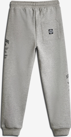 SOMETIME SOON Tapered Trousers 'Dimas' in Grey