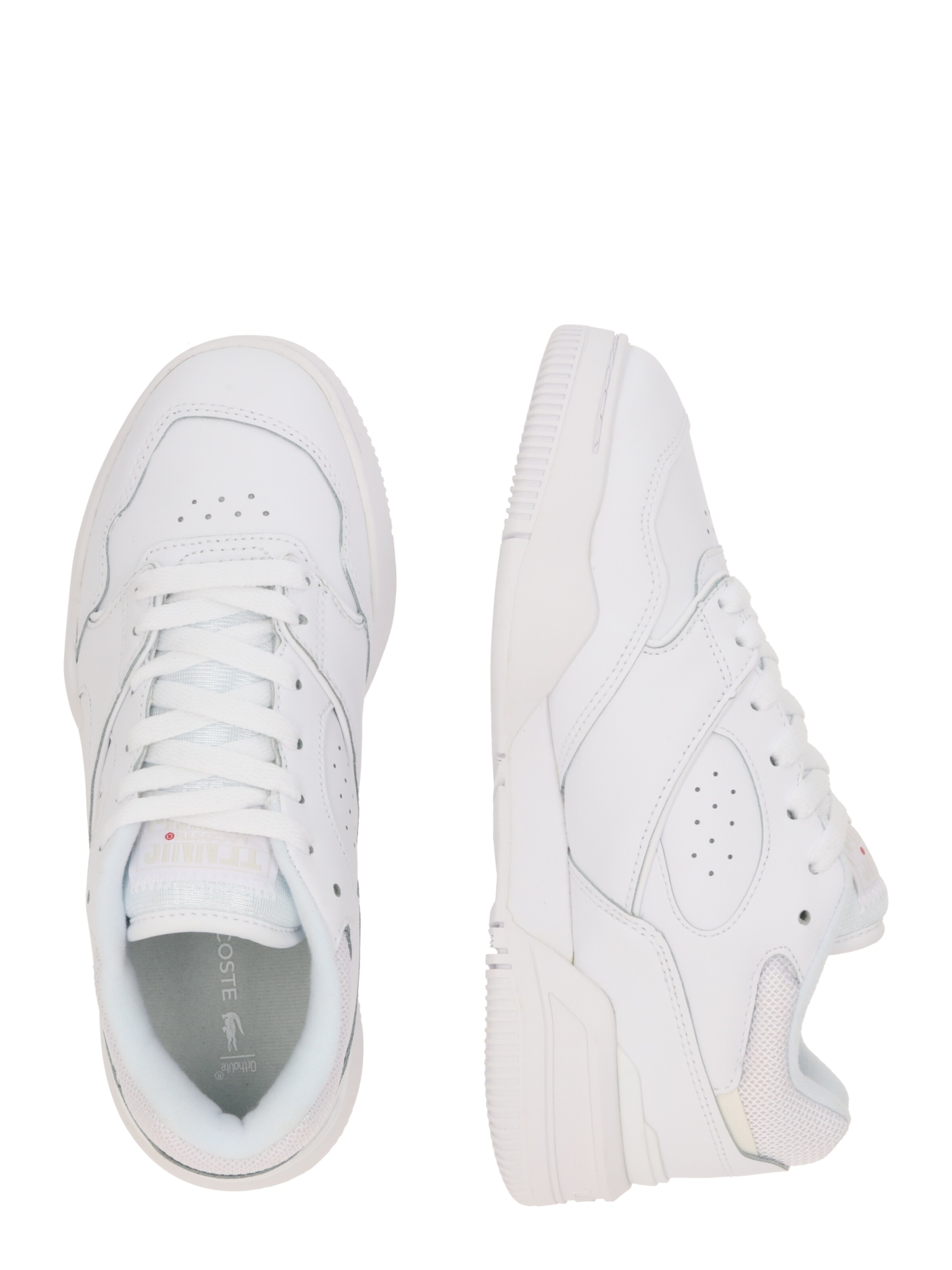 Sneaker bassa 'Lineshot' di LACOSTE in bianco