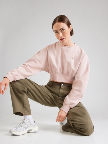 Jordan Μπλούζα φούτερ 'FLT' σε ροζ: μπροστά