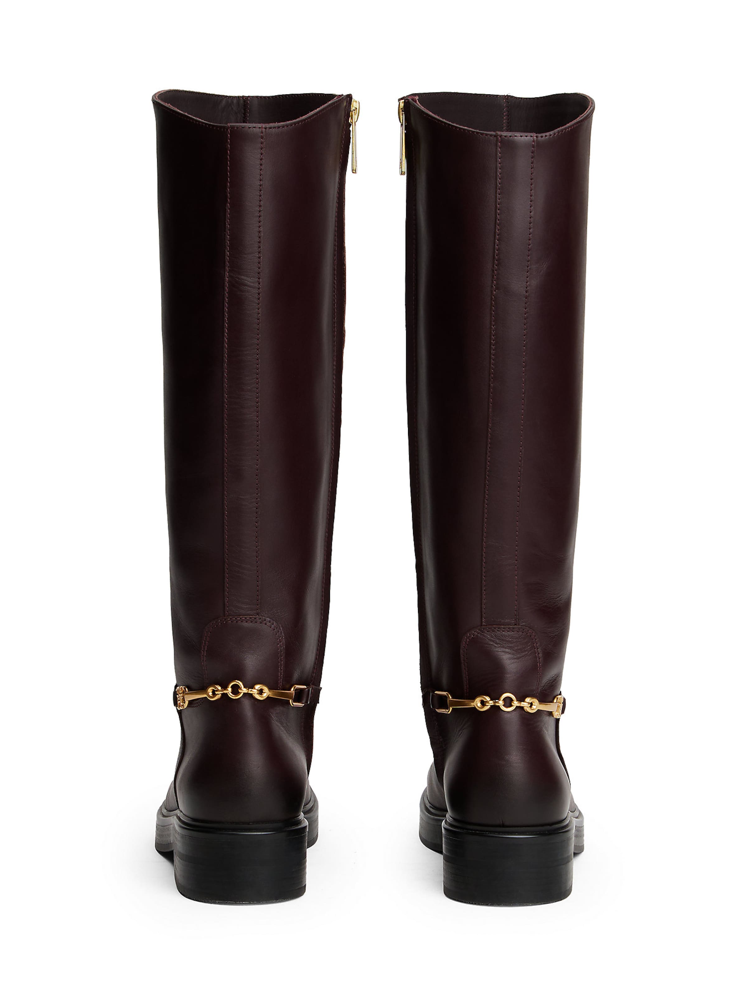 TOMMY HILFIGER Boots in Brown