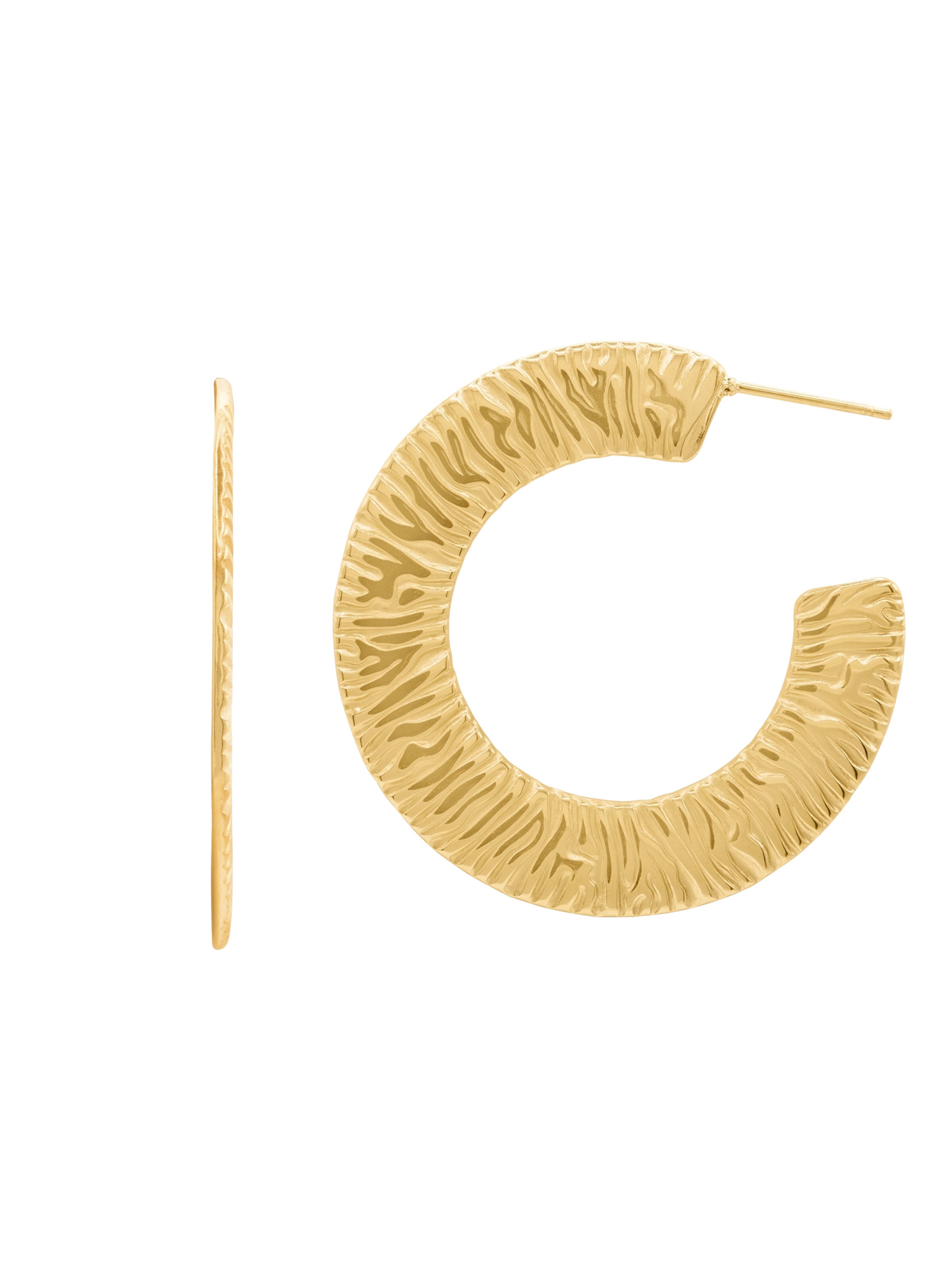 Heideman Earrings in Gold