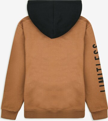 Threadboys Sweatshirt 'Honest' in Brown