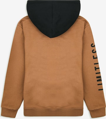 Threadboys Sweatshirt 'Honest' in Braun