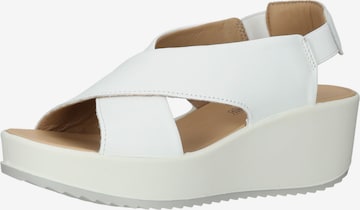IGI&CO Sandals in White: front