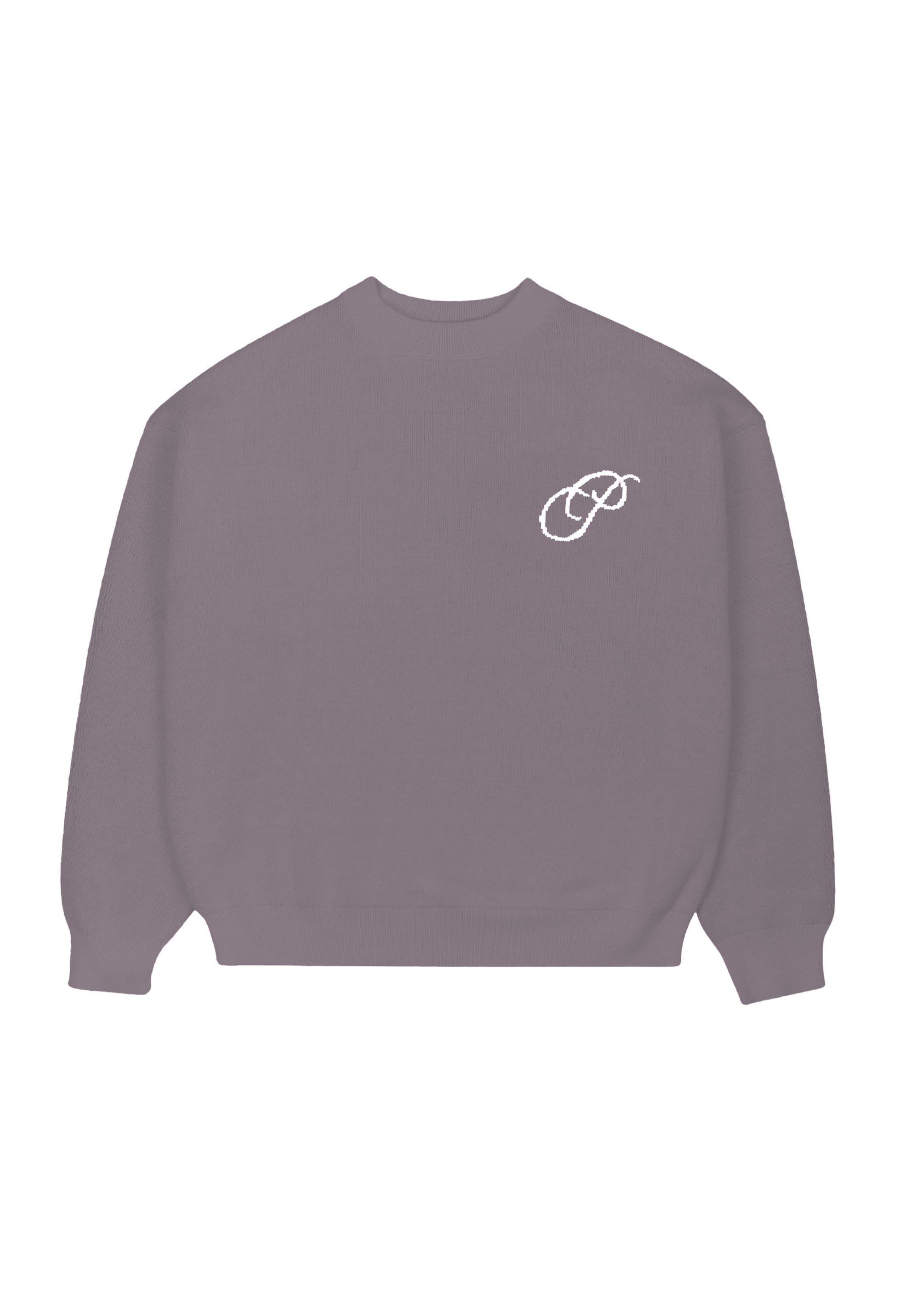 Pull-over 'Initia' Prohibited en gris : devant
