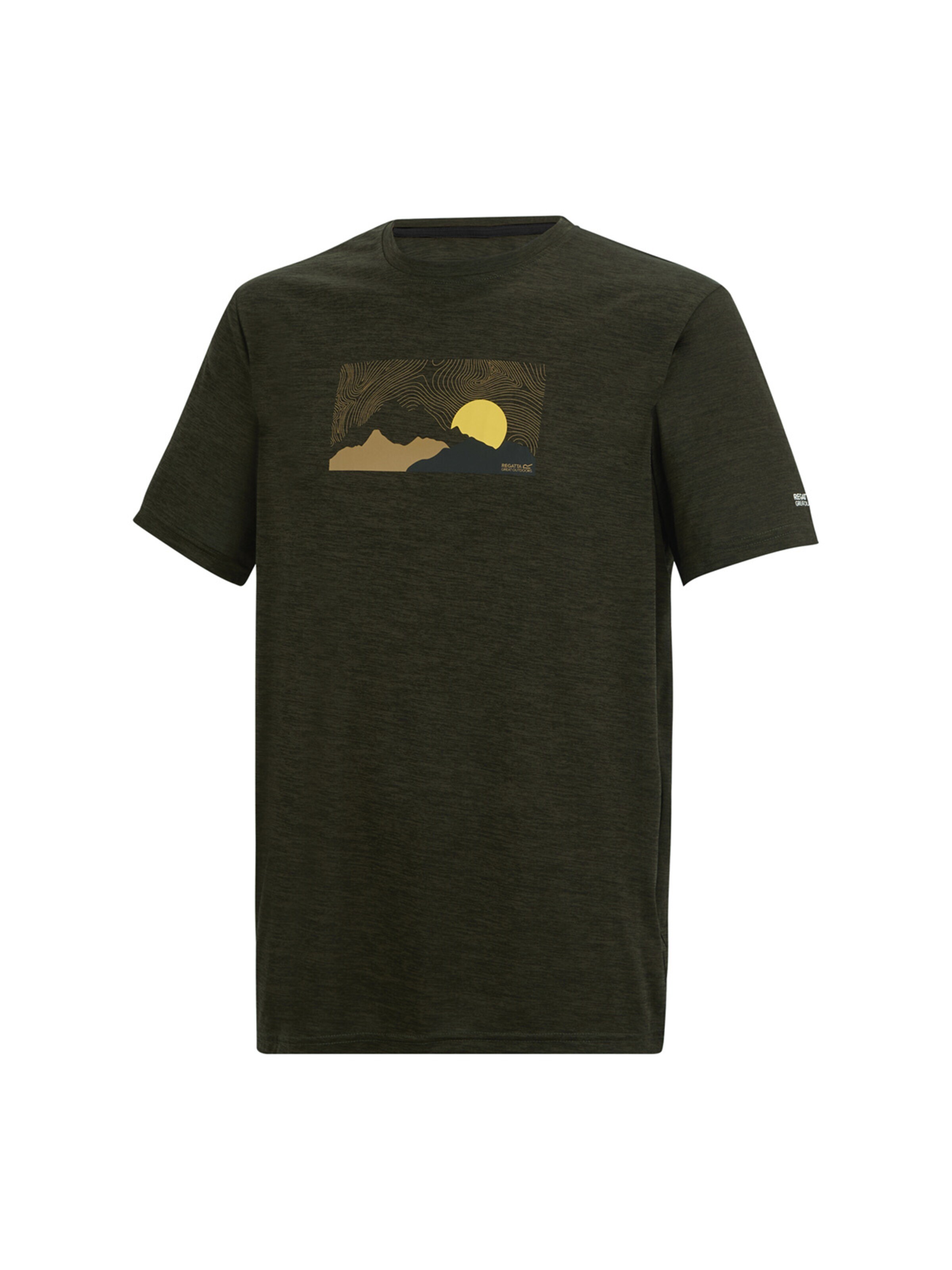 REGATTA Shirt‌ in Grün