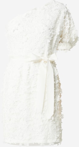 Adrianna Papell Dress in White: front