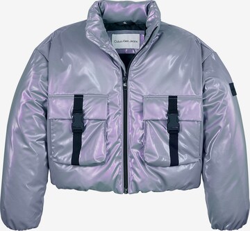 Calvin Klein Jeans Winter Jacket in Purple: front