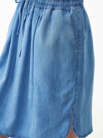 Organication Skirt in Blue