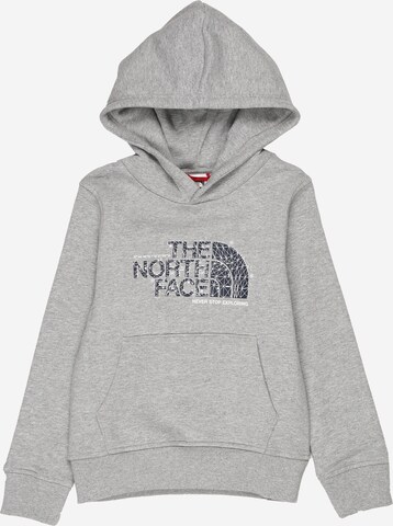 Felpa di THE NORTH FACE in grigio: frontale