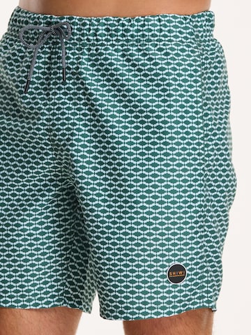 Shiwi Board Shorts in Green