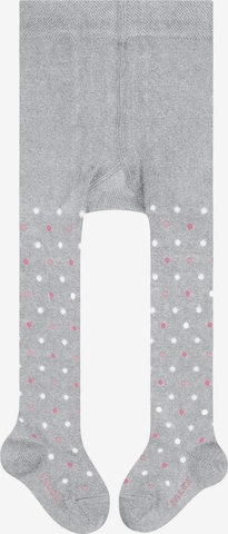 FALKE Tights 'Little Dot' in Grey: front