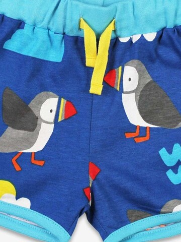 Toby Tiger Regular Pants in Blue