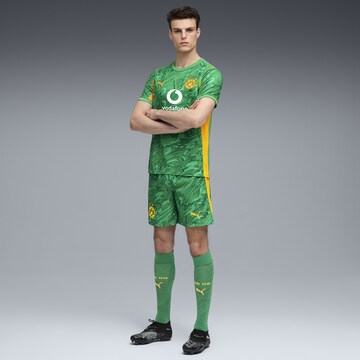 Regular Pantalon de sport 'Borussia Dortmund 25/26' PUMA en vert