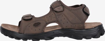 Whistler Sandals 'Hornsin' in Brown