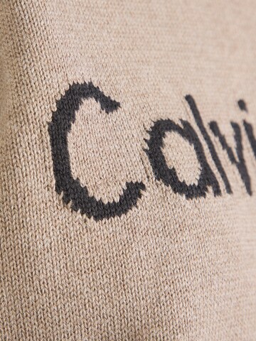 Calvin Klein Jeans Pullover in Braun