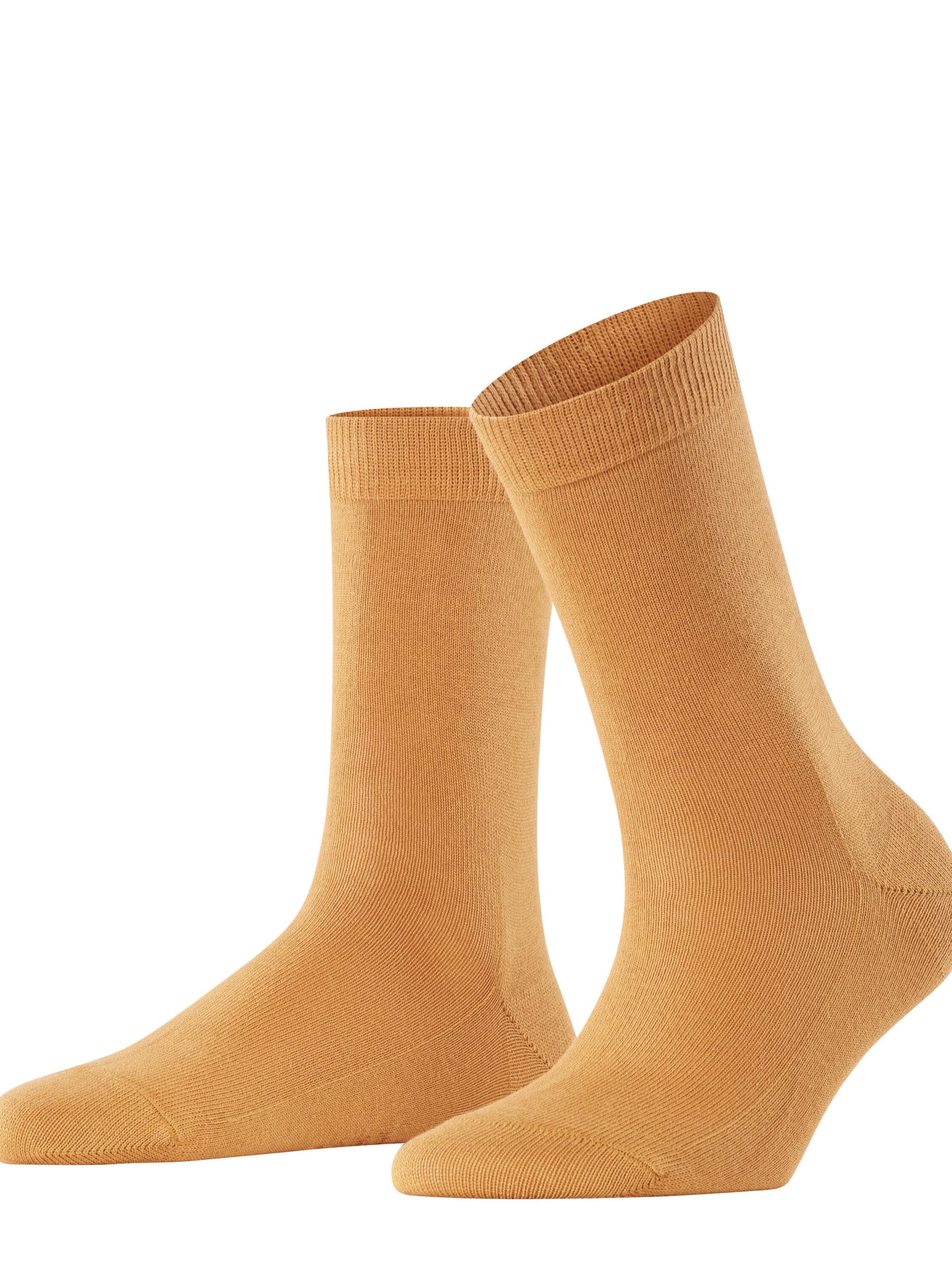 FALKE Socks 'Family' in Brown: front