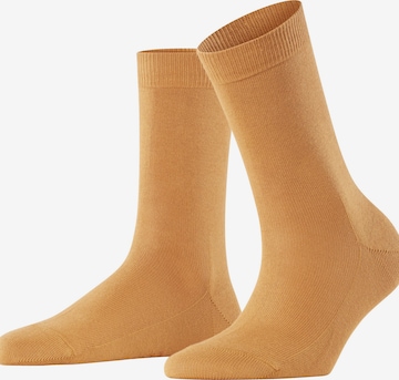 FALKE Socks 'Family' in Brown: front