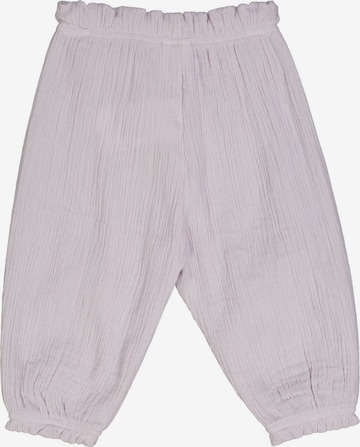 Tapered Pantaloni di Müsli by GREEN COTTON in lilla