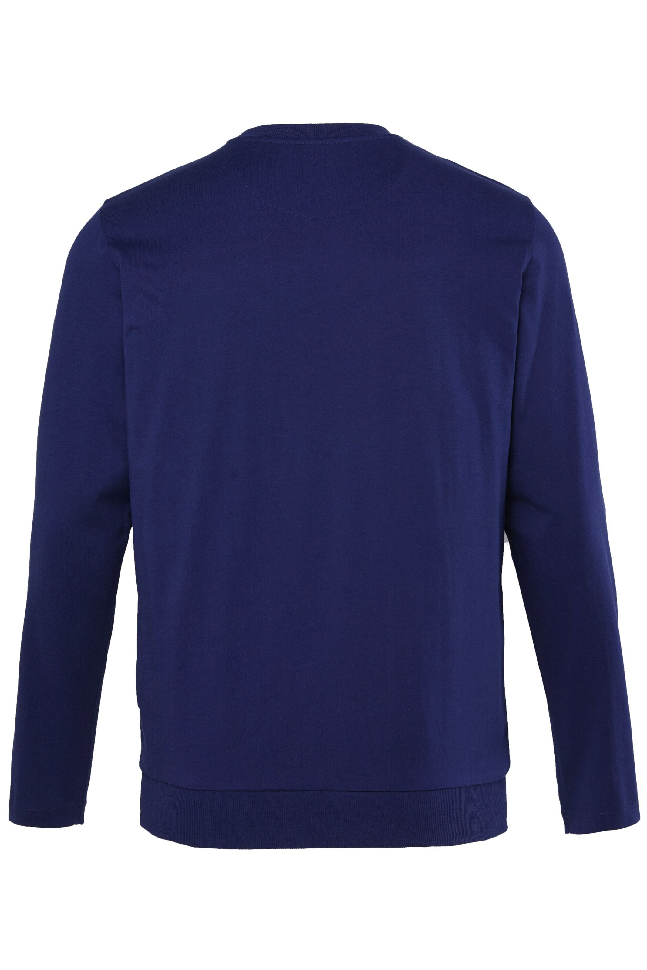 Men Plus Sweatshirt in Blauw