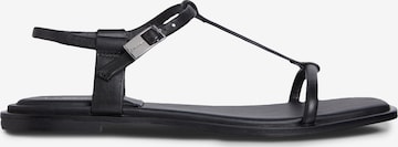 juoda Calvin Klein Basutės su dirželiais: priekis